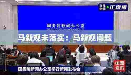 马新观未落实：马新观问题 