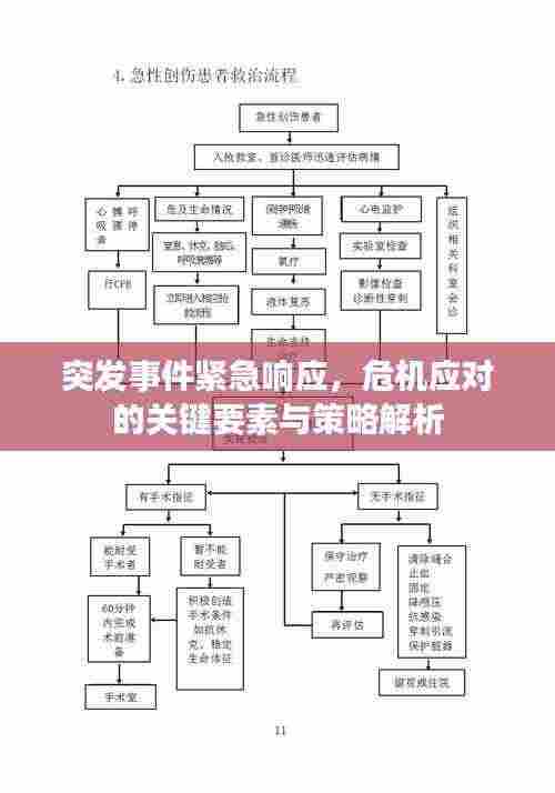 突发事件紧急响应，危机应对的关键要素与策略解析