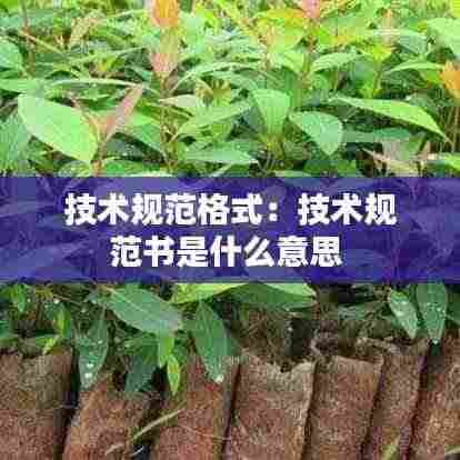 技术规范格式:技术规范书是什么意思