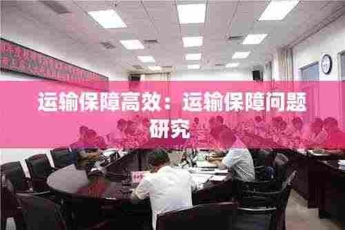 运输保障高效:运输保障问题研究