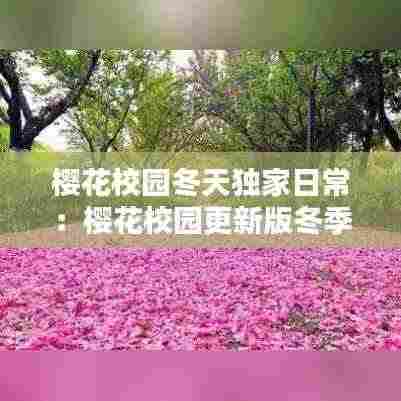 樱花校园冬天独家日常:樱花校园更新版冬季