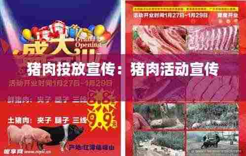 猪肉投放宣传：猪肉活动宣传 