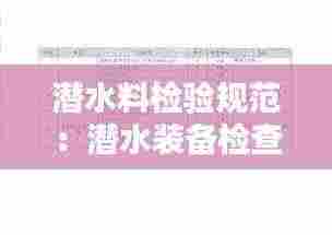 潜水料检验规范:潜水装备检查