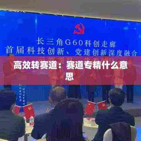 高效转赛道:赛道专精什么意思