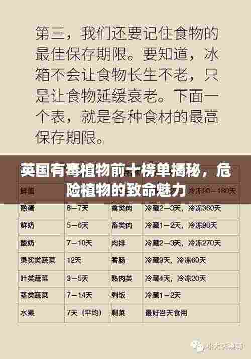 英国有毒植物前十榜单揭秘,危险植物的致命魅力