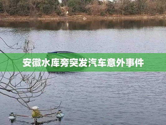 安徽水库旁突发汽车意外事件