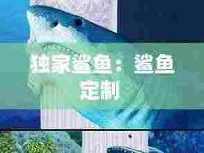 独家鲨鱼：鲨鱼定制 