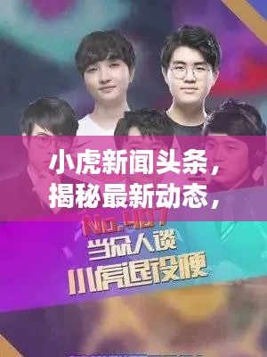 小虎新闻头条，揭秘最新动态，热点话题一网打尽