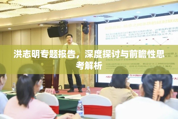 洪志明专题报告,深度探讨与前瞻性思考解析