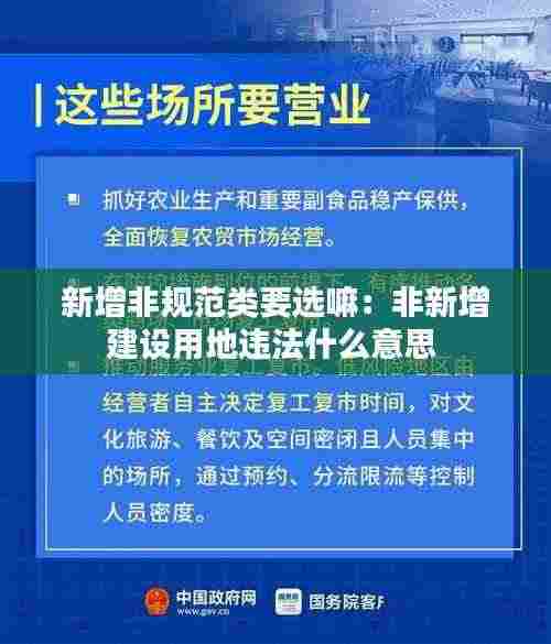 新增非规范类要选嘛:非新增建设用地违法什么意思