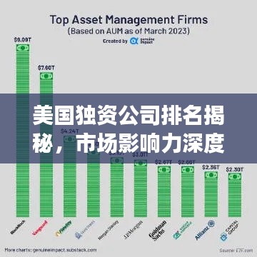 美国独资公司排名揭秘,市场影响力深度剖析