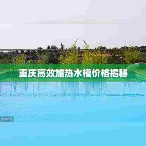 重庆高效加热水槽价格揭秘