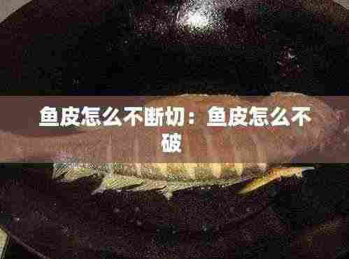 鱼皮怎么不断切:鱼皮怎么不破