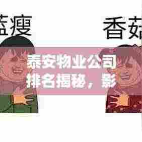 泰安物业公司排名揭秘，影响力与服务质量一览