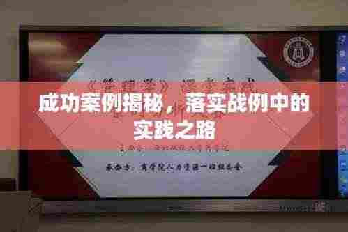 成功案例揭秘,落实战例中的实践之路