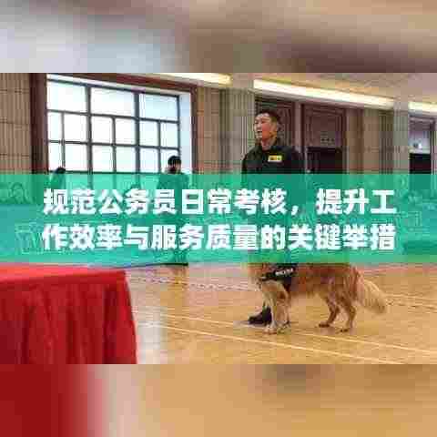 规范公务员日常考核,提升工作效率与服务质量的关键举措