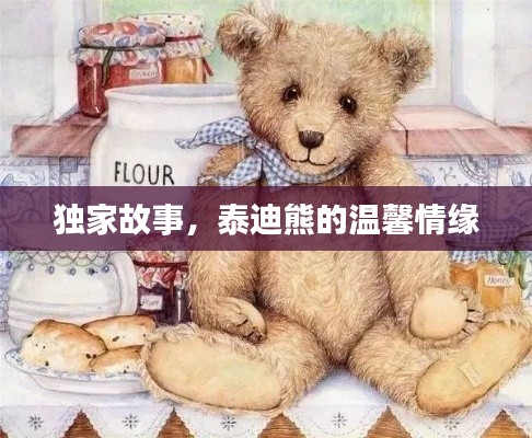 独家故事,泰迪熊的温馨情缘