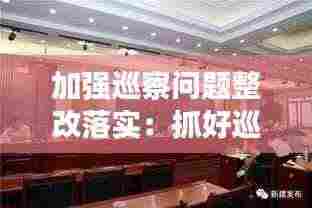 加强巡察问题整改落实:抓好巡察问题整改