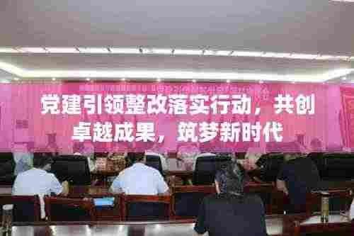党建引领整改落实行动,共创卓越成果,筑梦新时代
