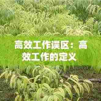 高效工作误区：高效工作的定义 