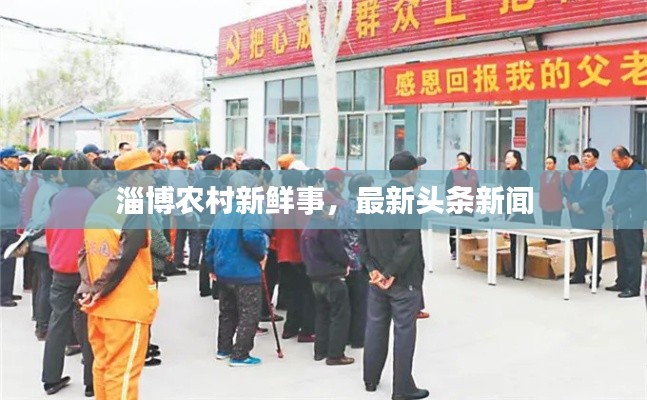 淄博农村新鲜事,最新头条新闻