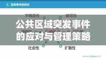 公共区域突发事件的应对与管理策略探讨