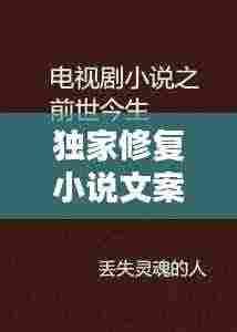独家修复小说文案视频:修复类小说
