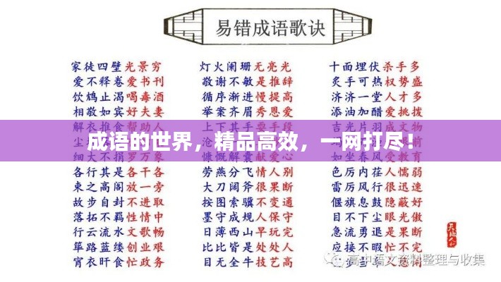 成语的世界,精品高效,一网打尽!