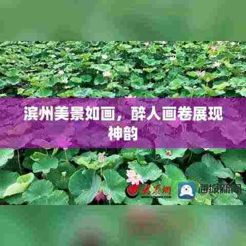 滨州美景如画，醉人画卷展现神韵