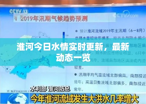 淮河今日水情实时更新,最新动态一览