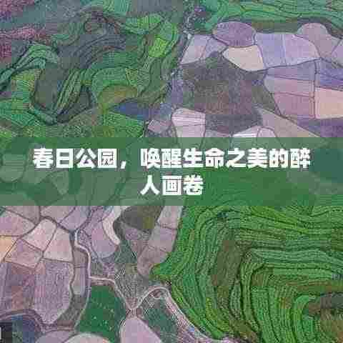 春日公园,唤醒生命之美的醉人画卷