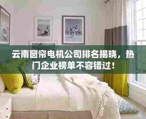 云南窗帘电机公司排名揭晓,热门企业榜单不容错过!