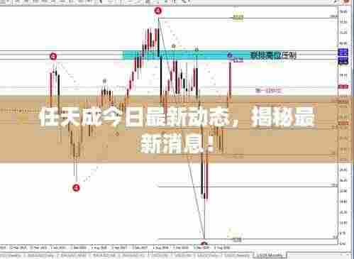 任天成今日最新动态,揭秘最新消息!