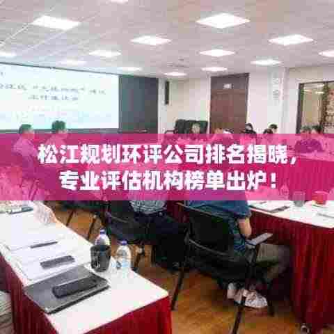 松江规划环评公司排名揭晓,专业评估机构榜单出炉!