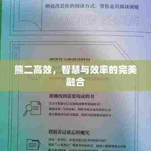 熊二高效，智慧与效率的完美融合