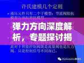弹力方向深度解析,专题探讨揭秘