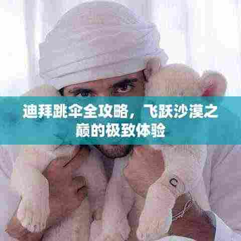 迪拜跳伞全攻略,飞跃沙漠之巅的极致体验