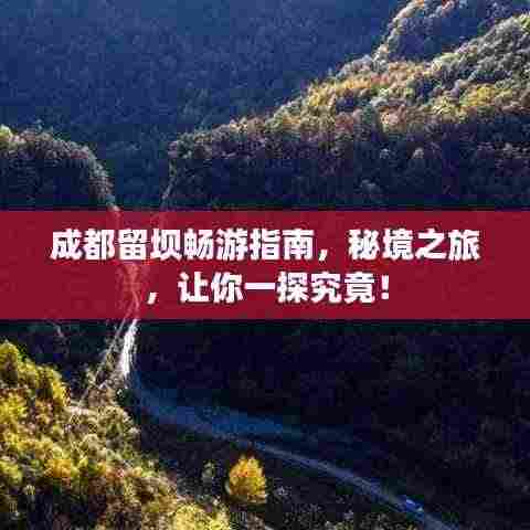 成都留坝畅游指南,秘境之旅,让你一探究竟!