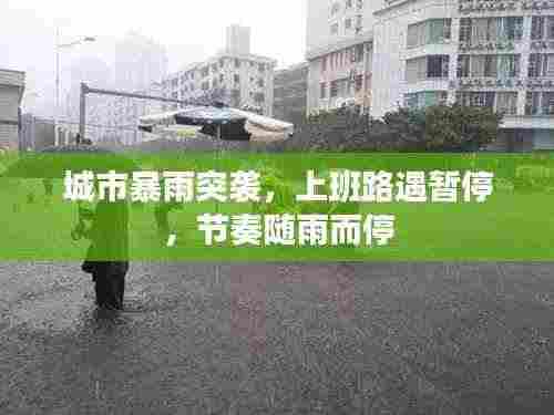 城市暴雨突袭,上班路遇暂停,节奏随雨而停