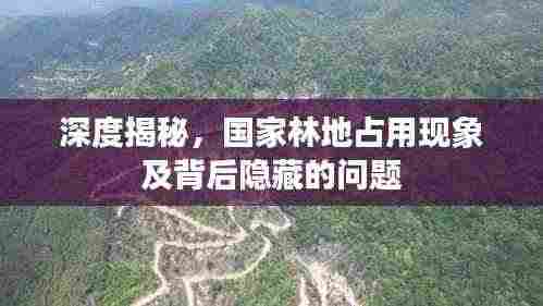 深度揭秘,国家林地占用现象及背后隐藏的问题