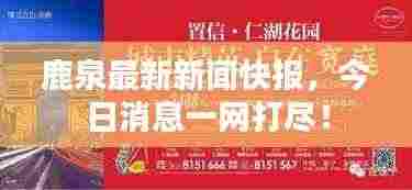 鹿泉最新新闻快报,今日消息一网打尽!