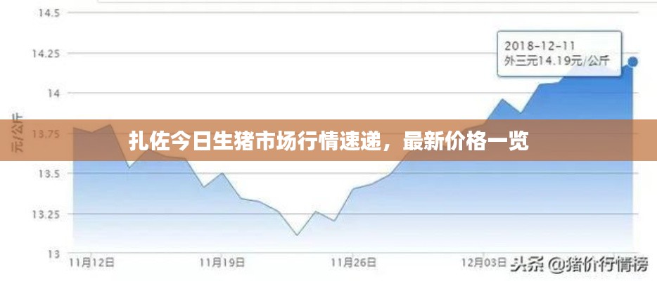 扎佐今日生猪市场行情速递，最新价格一览