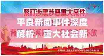 平良新闻事件深度解析,重大社会新闻背后的真相