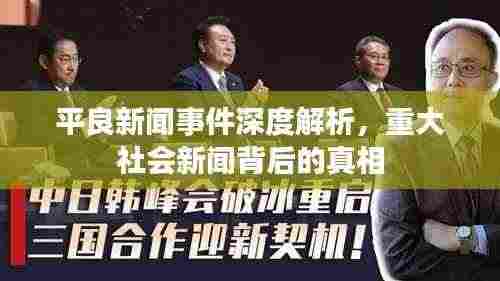 平良新闻事件深度解析,重大社会新闻背后的真相