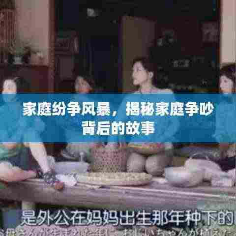 家庭纷争风暴,揭秘家庭争吵背后的故事