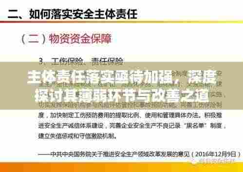 主体责任落实亟待加强,深度探讨其薄弱环节与改善之道