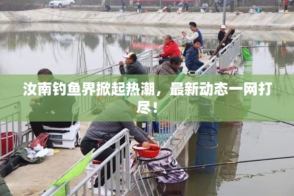 汝南钓鱼界掀起热潮,最新动态一网打尽!