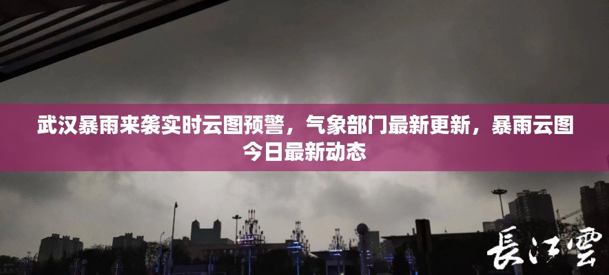 武汉暴雨来袭实时云图预警，气象部门最新更新，暴雨云图今日最新动态