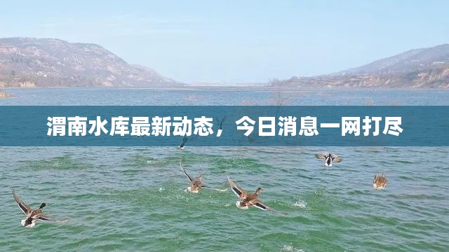 渭南水库最新动态,今日消息一网打尽