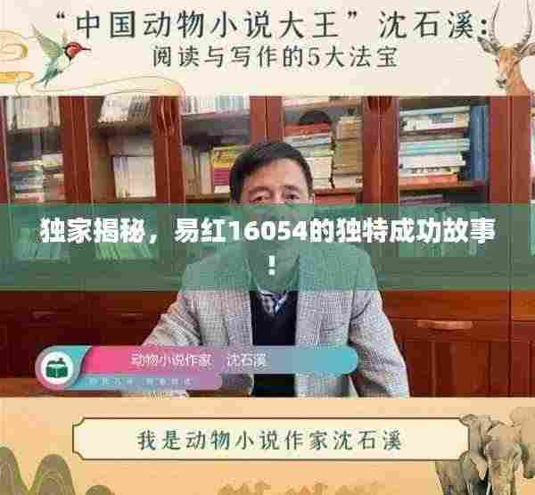 独家揭秘,易红16054的独特成功故事!